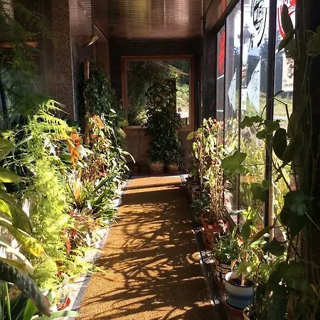 Internacional 2* Porriño